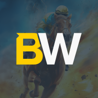 BetWright logo